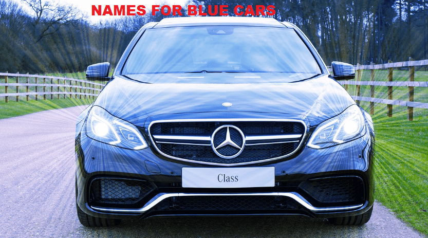 NAMES FOR BLUE CARS