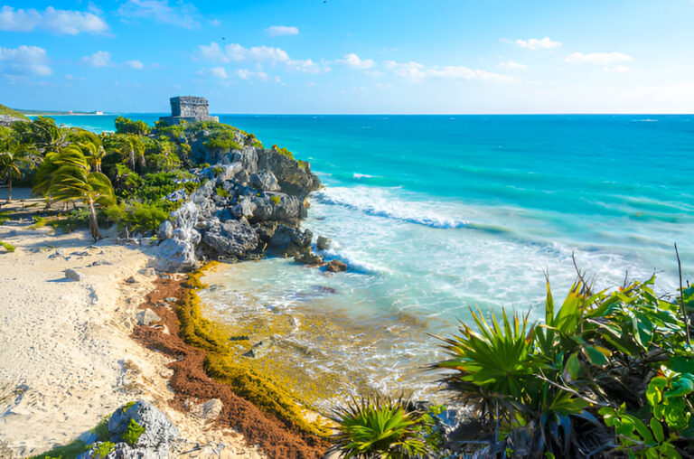 Discover the Ultimate Adventure with Aquatours: The Jungle Tour in Cancun