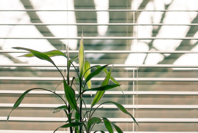 Classic Window Treatment