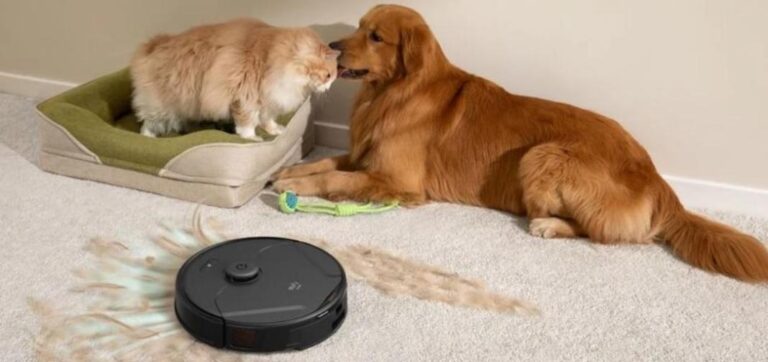 Pet-Odor-Free Carpet