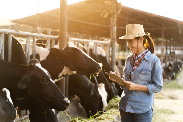Cows, Coverage, and Cattle Tech