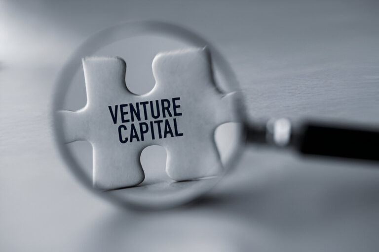 Role of Venture Capitalists